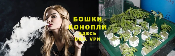 бошки Богородицк